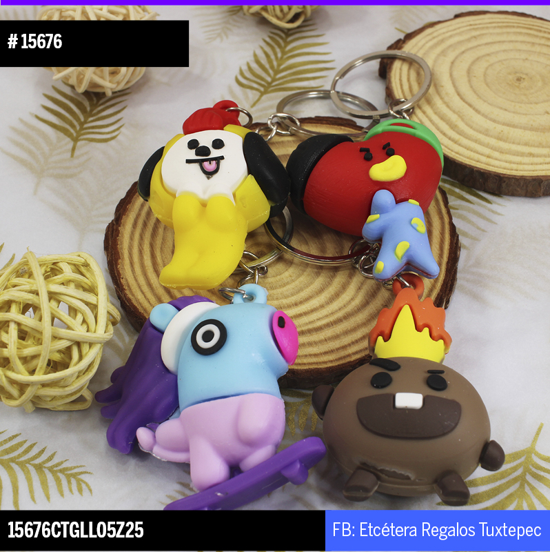 15676 LLAVERO BTS