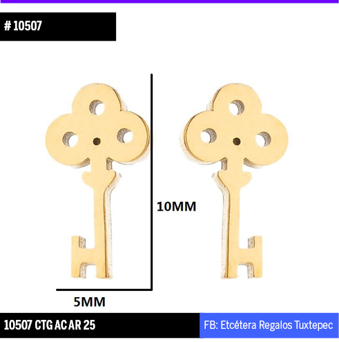 10507 Aretes llave