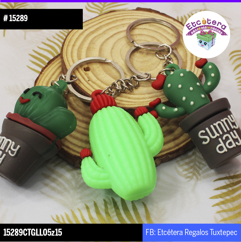 15289 CACTUS VARIANTES