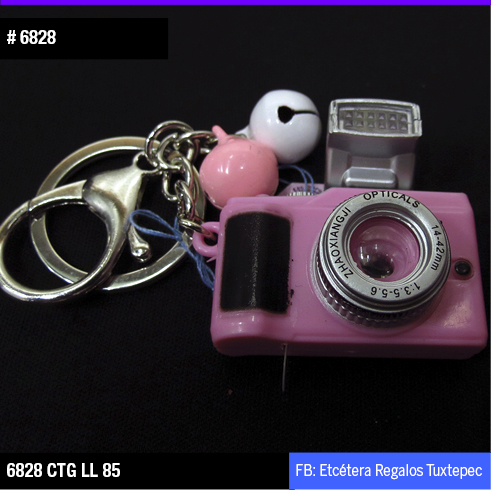 6828 CAMARA ROSA