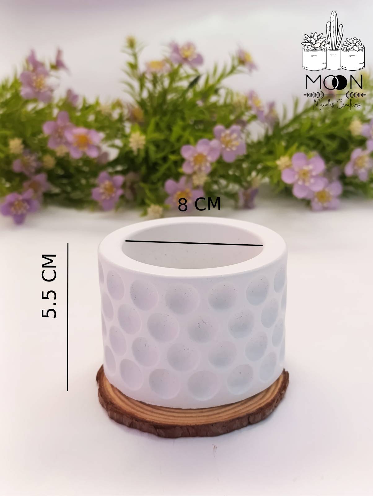 17045 MACETA BOLITAS