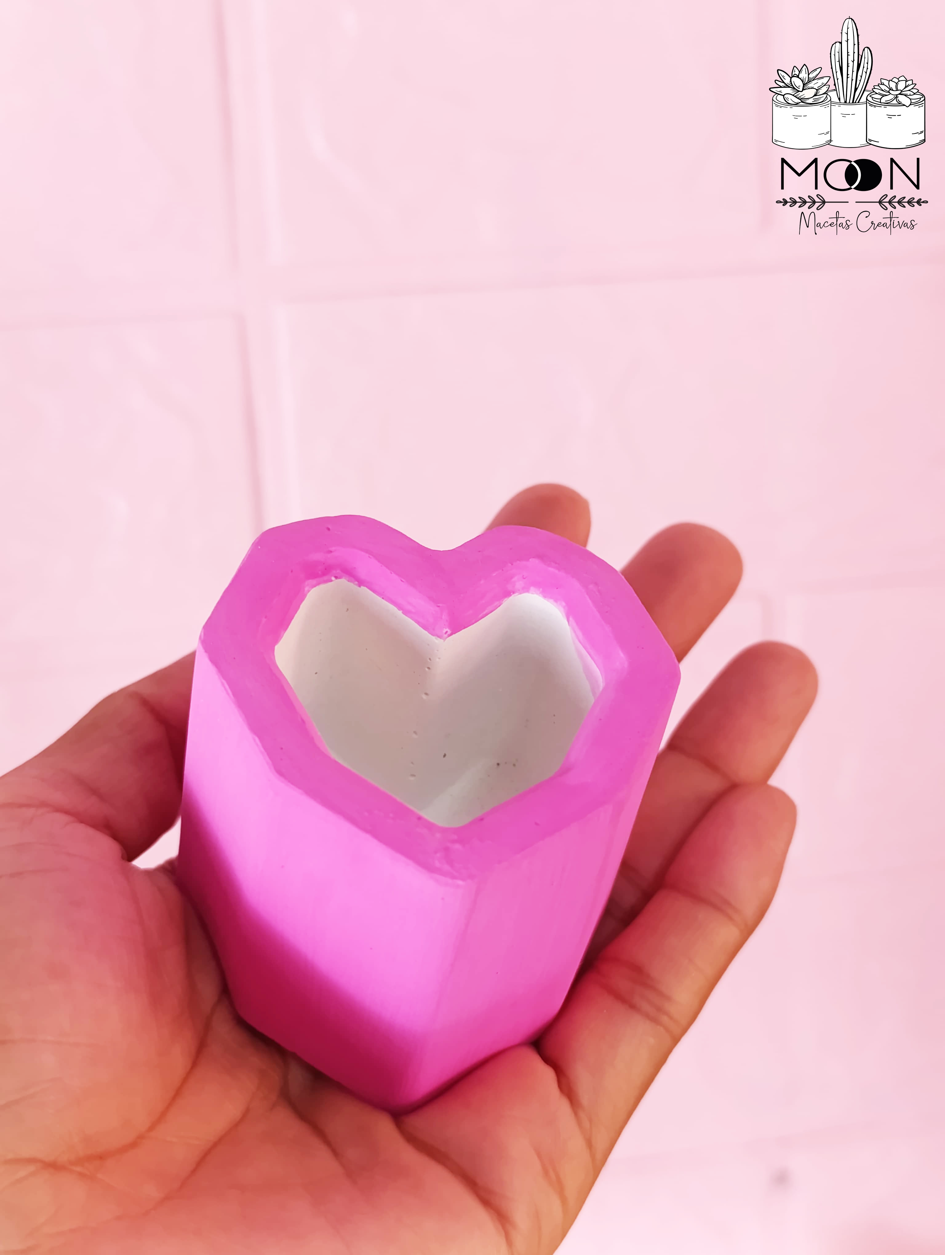 17025 Maceta rosa mexicano