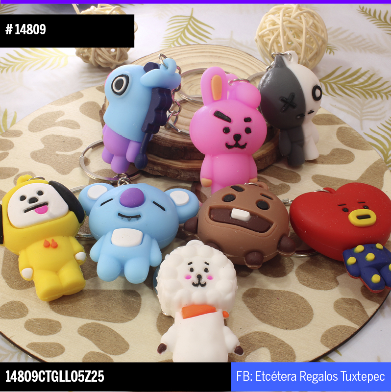 14809 LLAVERO BTS