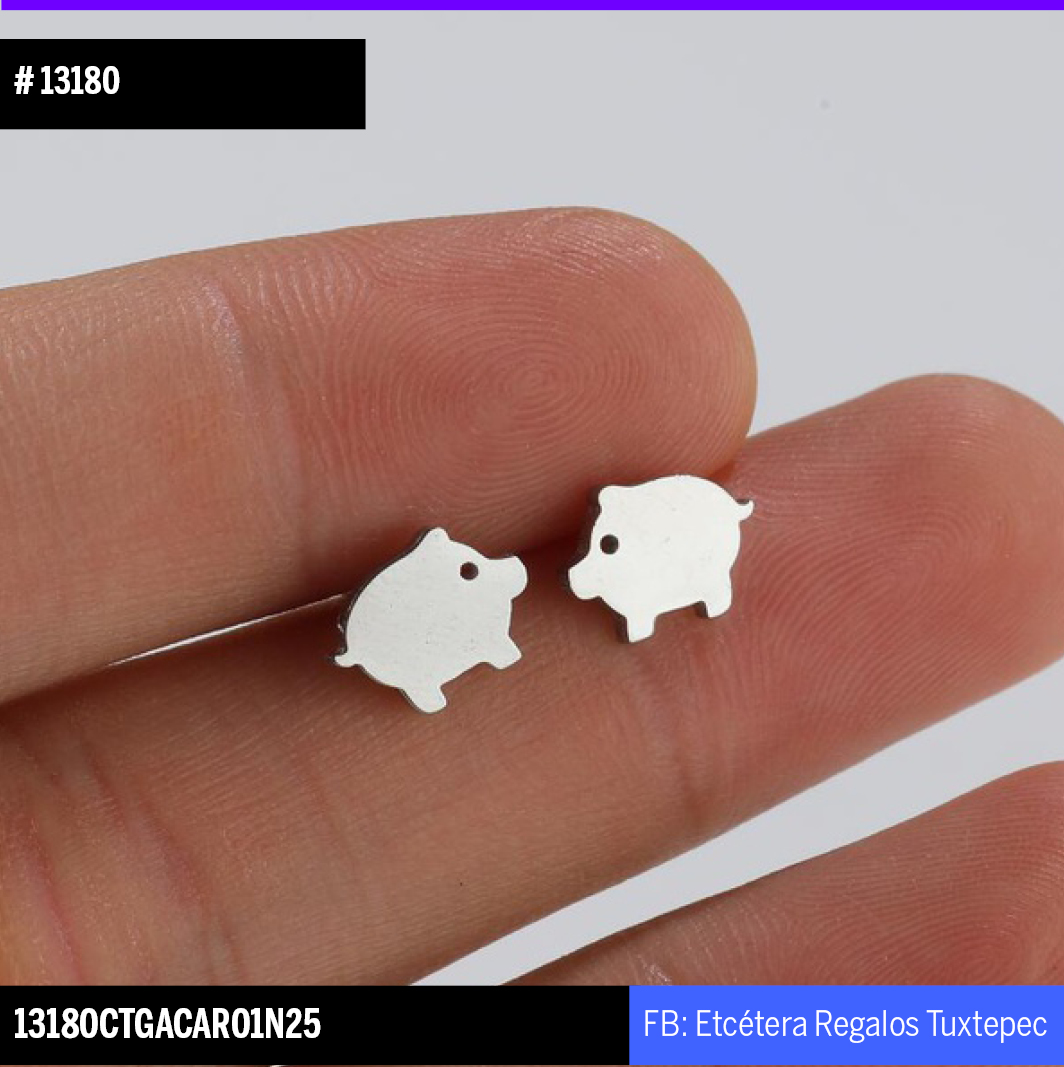 13180 ARETES CERDITO