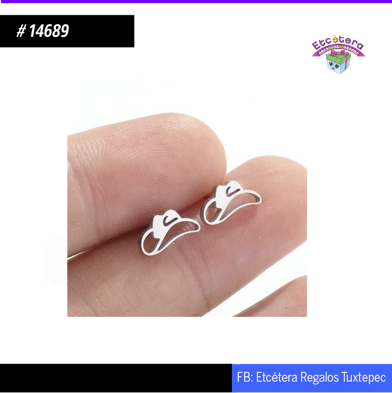 14689 ARETES SOMBRERO