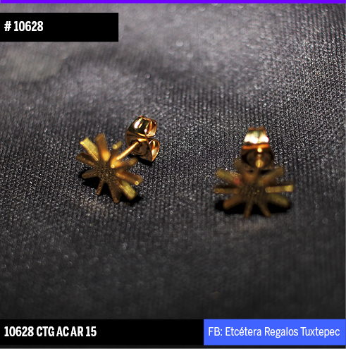 10628 ARETES SOL