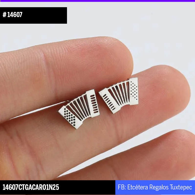 14607 ARETES ACORDEON