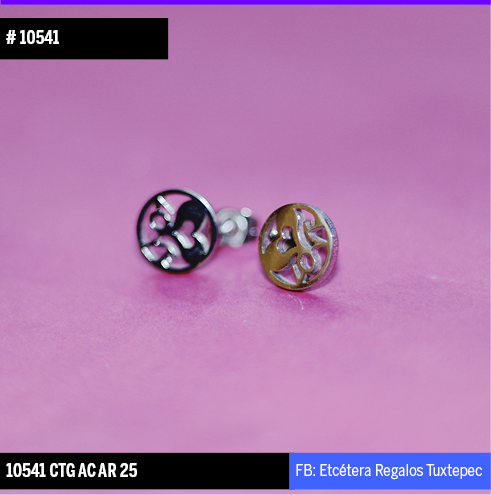 10541 Aretes love plateado