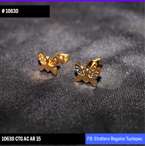 10630 ARETES MARIPOSA