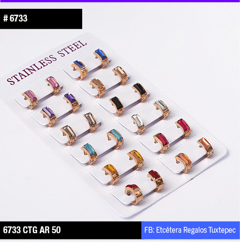 6733 ARETES TIPO ARRACADAS